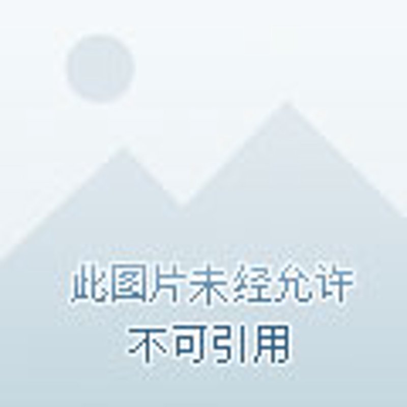 传统与创新交融：鱼丸制作方法解析